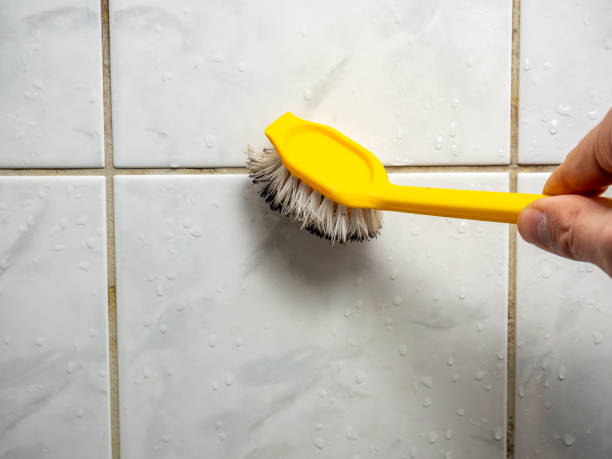 Best Certified Mold Removal  in La Homa, TX