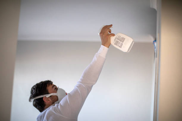 Best Mold Cleaning Services  in La Homa, TX